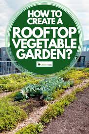 How To Create A Rooftop Vegetable Garden