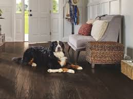 best pet friendly floors 7 surfaces