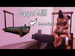 carpet mill for dogs full tutorial