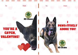 Share what's in your heart this valentine's day—with all the people you love, in all the ways you love them. These Valentine S Day Cards Featuring Sheriff S Office K 9s Are Paws Itively Adorable
