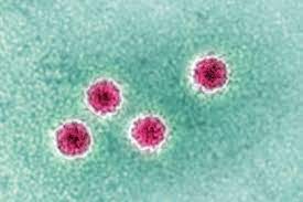 Hepatitis outbreak in children: Here is ...