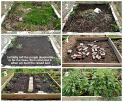 community garden plot before and after