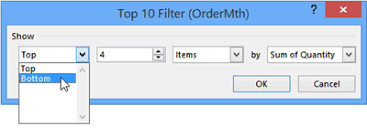 Excel Pivot Table Filters Top 10