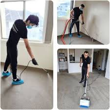 best carpet cleaning services in sydney