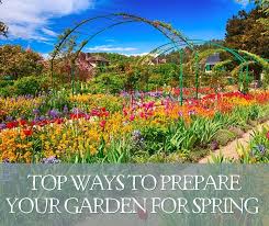 Blooming Lovely Top Ways To Prepare