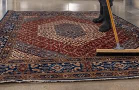 rug cleaning protection services in