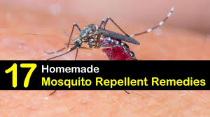 17 simple diy mosquito repellent remes