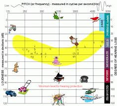 An Easy Guide To Reading Your Audiogram With Pictures And