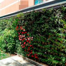 Green Wall With Live Plants Ksa