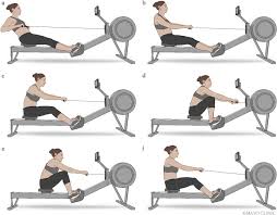 ergometer rowing to mitigate spinal