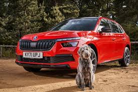 Best Cars For Dog Owners 2022 Parkers