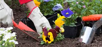 spring gardening tips blog