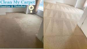 carpet cleaning clean my carpet