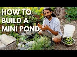 Mini Pond With Farmer Rishi