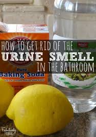 How To Eliminate The Urine Smell In The