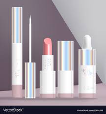 cosmetics packaging vector image