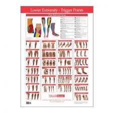 Kent Trigger Point Lower Extremity Chart