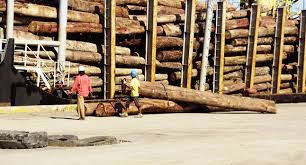 However, prices are still highly dependent on the total size of the apartment for sale, as well as the facilities and amenities available to the residents. Timber Company In Philippines Filtra Timber