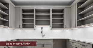 diyanni homes modern pantry design