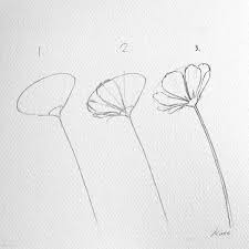 If the picture is complex, small size will not very good! How To Draw Perfect Flowers Step By Step