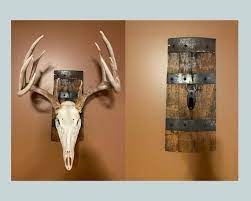 European Mount Plaque With Deer Skull