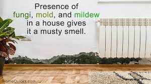 musty smell in house