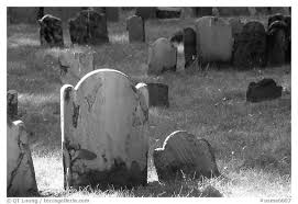 Image result for white tombstones