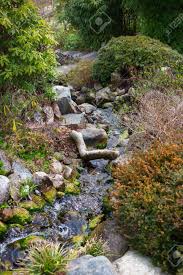 „botanischer garten kopenhagen suchen mit Fruhlingsbach In Kopenhagen Botanischer Garten Lizenzfreie Fotos Bilder Und Stock Fotografie Image 76632415