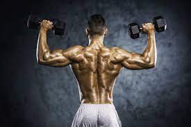 14 dumbbell exercises for back workouts