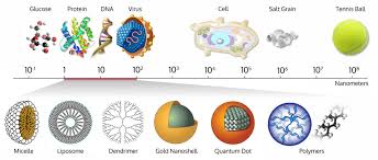 Size Comparison Bio Nanoparticles