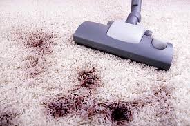 eco green carpet rug cleaners export