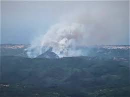 Vasto incendio tra Vico e Ischitella, il vento forte alimenta le fiamme -  Garganotv