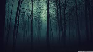 dark forest forest 1366x768 dark hd