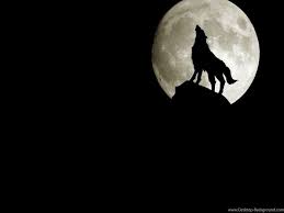 Black Wolf 3D Wallpapers - Top Free ...