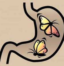 Resultado de imagen para mariposas parada en estómago