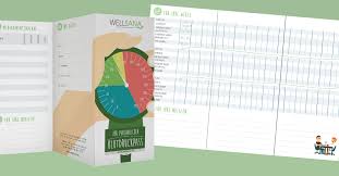 Messgerät für blutzucker und cholesterin mit bluetooth4.0 * handliche maße: Personlicher Blutdruckpass Zum Ausdrucken Wellsana