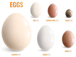 12 diffe edible egg varieties in india