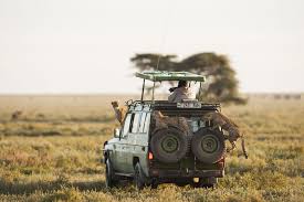 Serengeti National Park Tanzania The Complete Guide