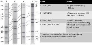 tricine sds page vs tris glycine sds