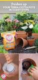 Image result for how to clean terracotta pots