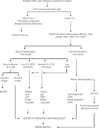 Simplified Algorithm For Evaluation Of Proteinuria In