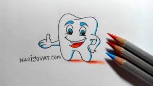Zub není jen bílá dutá perlička. Kak Narisovat Zub Karandashom Poetapno