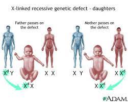 If by traits you mean physical characteristics, then that is not very likely. X Linked Recessive Genetic Defects How Girls Are Affected Medlineplus Medical Encyclopedia Image