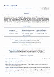 Nurse Resume Template Free Lovely Resume Writing Services