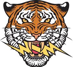 tiger face vector images over 17 000