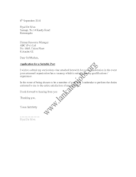 Leading Professional General Manager Cover Letter Examples     Copycat Violence