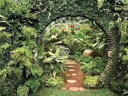the tropical garden reinvented garden