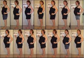 Baby Bump Chart Months Of Pregnancy By Weeks Pregnancy Weeks