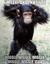 funny monkeys with quotes | funny animals | Funny Blog ... via Relatably.com
