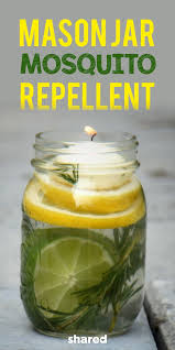 They are easy to make and are excellent for repelling mosquitoes outdoors. Watch This Video And Make An All Natural Mason Jar Mosquito Repellent Will Keep You Bug Free At All Your Picnics Mason Jar Diy Mason Jars Lemon Eucalyptus Oil